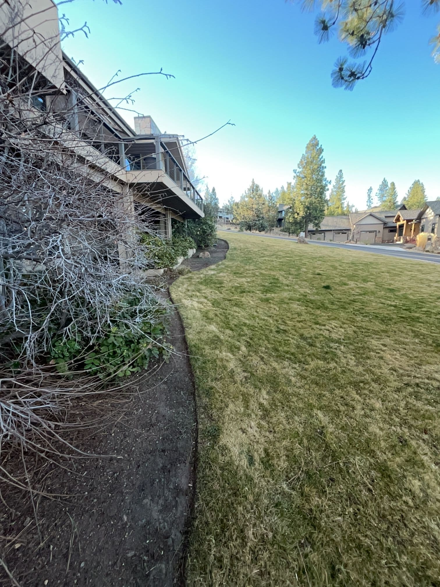 Gallery photos for Creating Serene Pathways and Verdant Lawns: Image #1