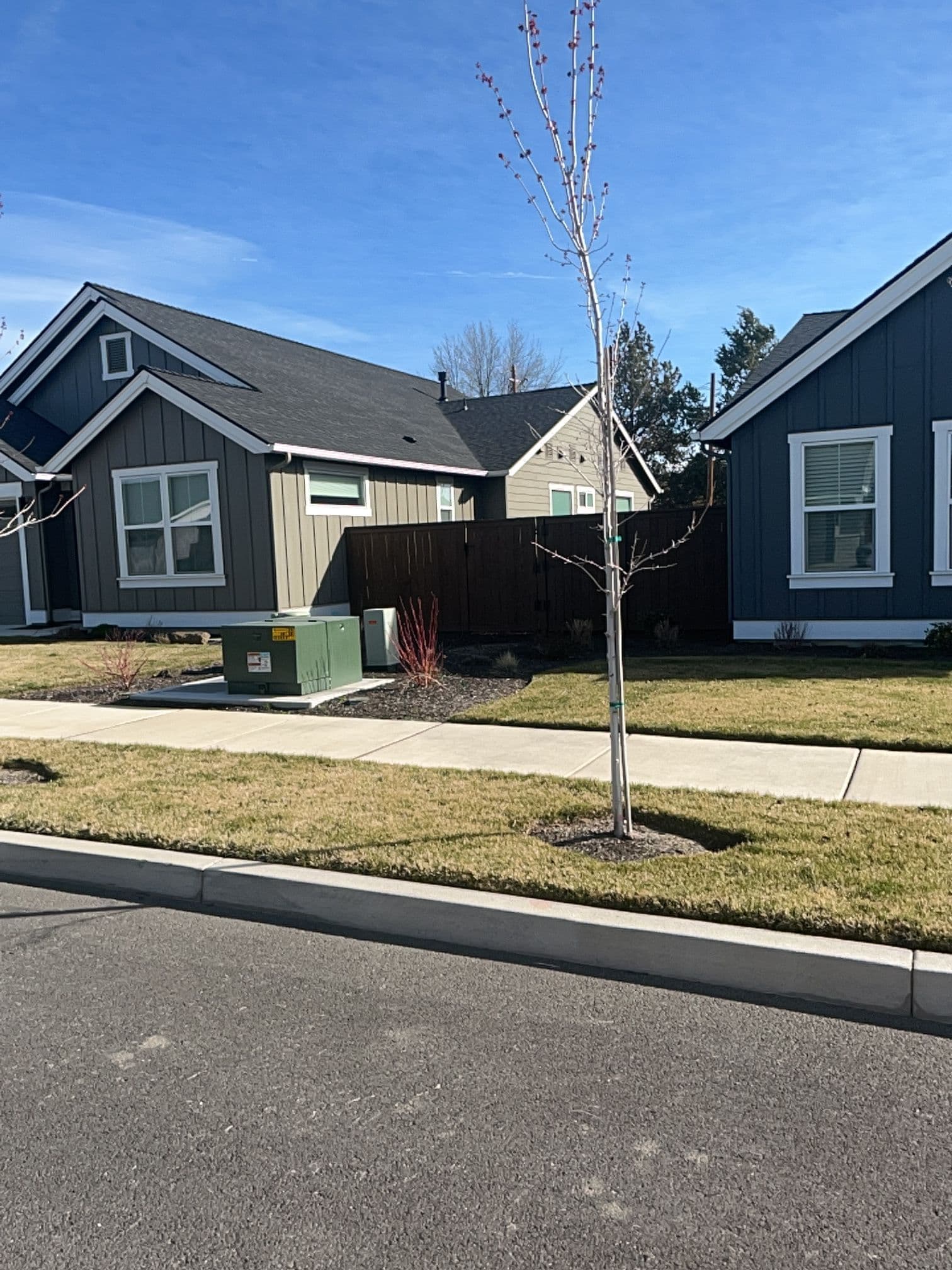 Gallery photos for Creating Beautiful Neighborhoods with Edge Landscaping: Image #1